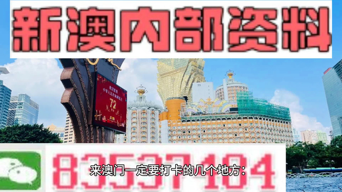2024澳门精准正版资料|精选解释解析落实