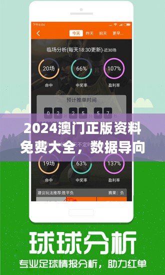 2024澳门精准正版资料63期|精选解释解析落实