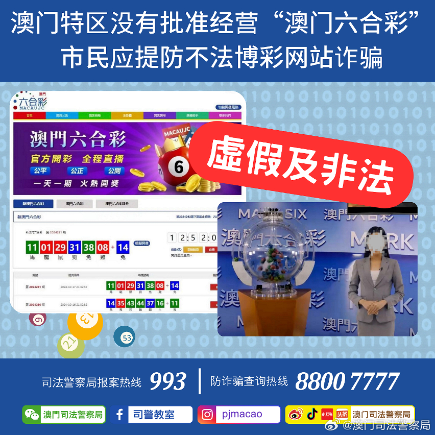 2024澳门正版精准资料|精选解释解析落实