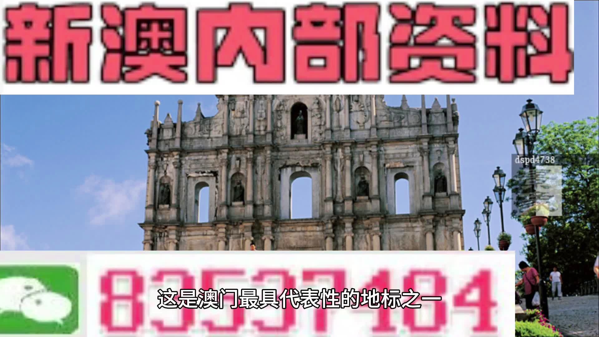 2024澳门免费精准资料|精选解释解析落实