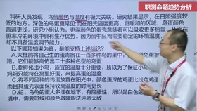 白小姐资料大全+正版资料白小姐奇缘四肖|精选解释解析落实